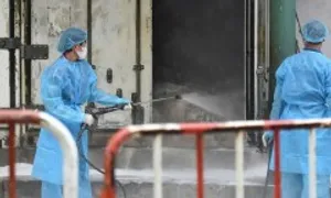 Các chủng cúm A độc lực cao lây nhiễm từ động vật sang người